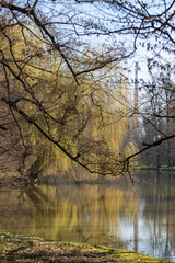 Obraz premium Park with a view of the pond. Around the pond are trees that are reflected in the water. The background is a blue sky without clouds.
