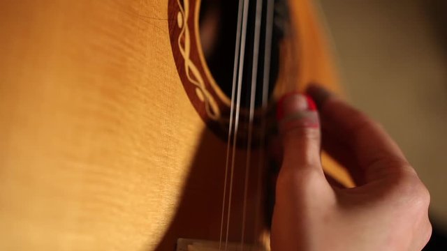 playing twelve steel strings portuguese guitar fado