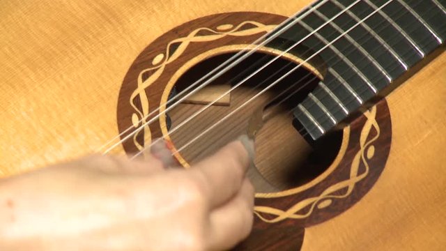 playing twelve steel strings portuguese guitar fado