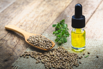 Cannabis seeds and CBD oil cannabis extract, green hemp leaf background, Medical cannabis concept.