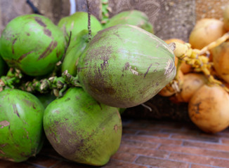 Fresh coconuts on the market.
