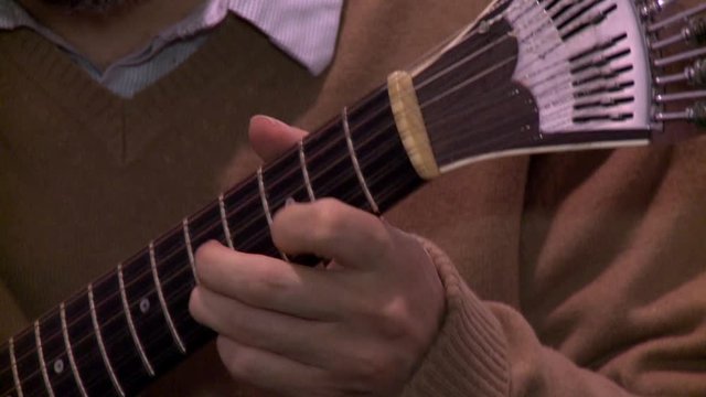 playing twelve steel strings portuguese guitar fado