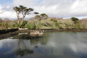 Dunbay castle-Puxley castle