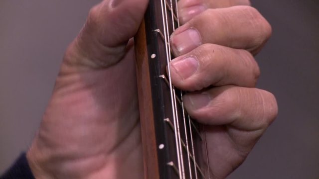 playing twelve steel strings portuguese guitar fado