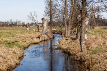 Wiosna na Podlasiu. Dolina Górnej Narwi. Piękne Podlasie, Polska © podlaski49