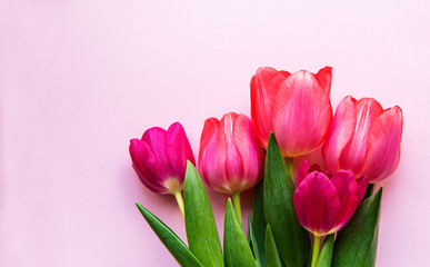 Beautiful tulips bouquet