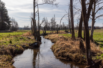 Wiosna na Podlasiu. Dolina Górnej Narwi. Piękne Podlasie, Polska © podlaski49