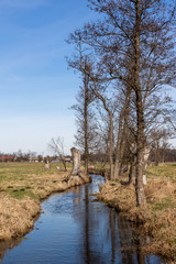 Wiosna na Podlasiu. Dolina Górnej Narwi. Piękne Podlasie, Polska © podlaski49