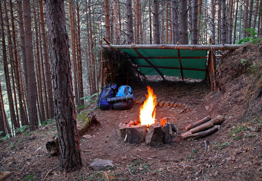 Bushcraft shelter built in the middle of a pine tree forest. Wooden shelter with a tarp and a firepit made of stones. Outdoor survival activities.  