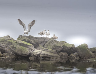Relaxing at the beach in Sandy Hook, NJ