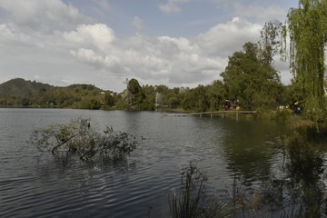 lake in forest