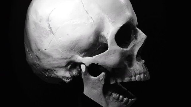 Rotating skull on black background, skeleton head for anatomy classes in Schools and Universities . High quality skull replica. Black and white Extreme close up of a Skull rotating