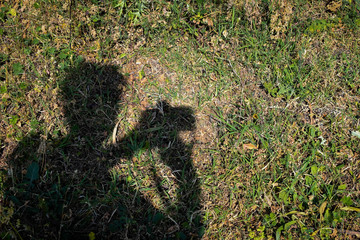 Photographer's self-portrait in shadow