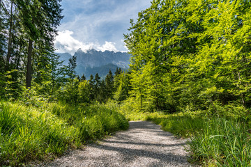 Fototapeta na wymiar Fantastic round hike around the beautiful Eibsee at the Tiroler Zugspitze Arena