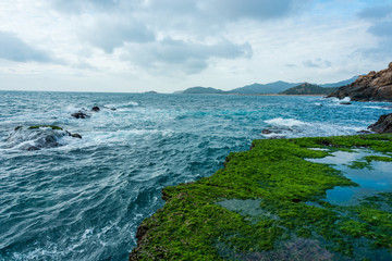 gren moss area on the beauty beach with blue sky and magical wave