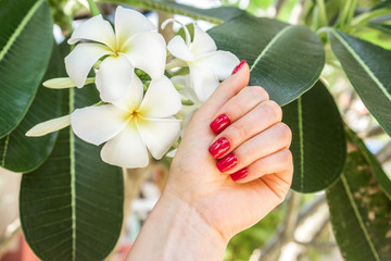 Manicure with red lacquer, a trip to Asia, exotic plumeria flowers.