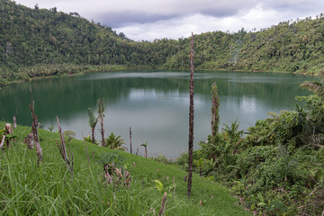 Expedition, Urwald, Dschungel