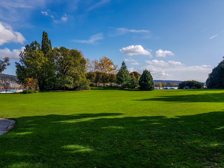 Walking in park an with animals