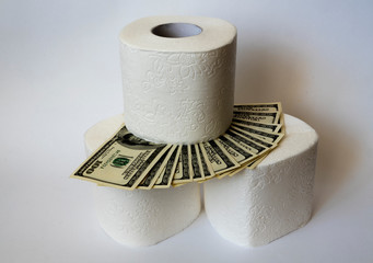 toilet paper and dollars on a white background