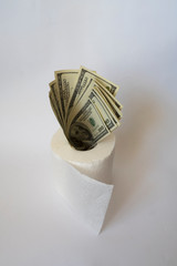 toilet paper and dollars on a white background