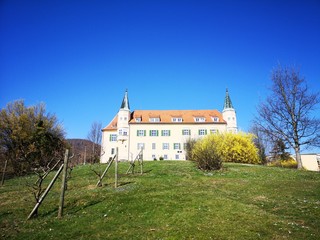 Fototapeta na wymiar Schloss St. Martin Graz