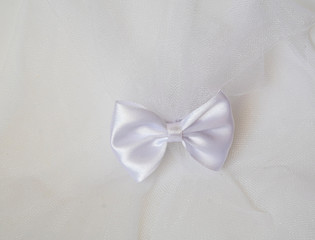 white wedding bow on a white background