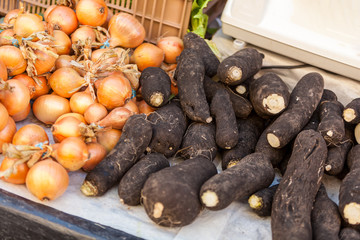 Black radish for sale