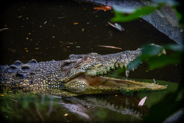 The beauty of Light and Nature