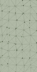 Obraz premium Low Polygonal Mesh computation Art background illustration