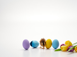 Colorful Easter eggs and chicks.