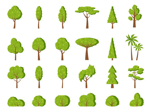 Summer tree and bush, flat cartoon icon set. Different shape simple spring forest park, oak, garden, fir, palm, symbol. Season green leaf, eco organic plant sign. Isolated on white vector illustration