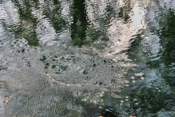 Calm water river through lush vegetation