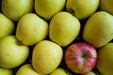 apples collection