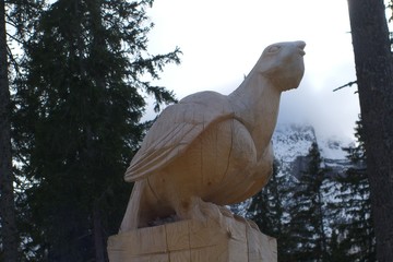 Auerhahn