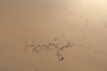 Background Quotes, Mandvi Beach of Kutch Gujarat India