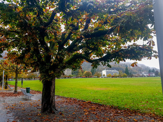 Walking with nature and animals