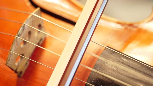 Violinist playing the violin in the orchestra