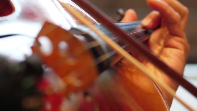 Violinist playing the violin in the orchestra
