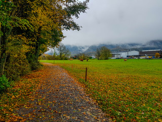 Naklejka premium Walking with nature and animals