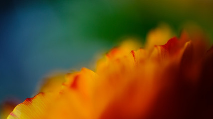color dialogue