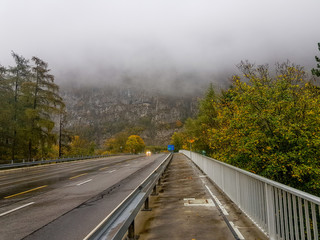 Walking with nature and animals