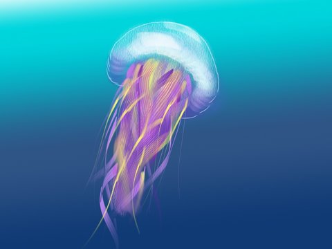 Jellyfish under the water illustration\ sea jelly drawing\ medusa painting