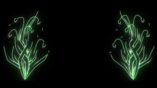 Glowing neon lights forming snowdrops on both sides of video. 2d animation of flowers on black background. Nature, beauty, romance, new life, spring.