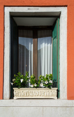 Typical window in Venice
