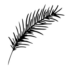 Single hand drawn exotic tropical leaf palm. In doodle style, black outline isolated on a white background. Cute element for cards, posters, social media banners, stickers. Vector illustration.