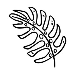 Single hand drawn exotic tropical leaf monstera. In doodle style, black outline isolated on a white background. Cute element for cards, posters, social media banners, stickers. Vector illustration.
