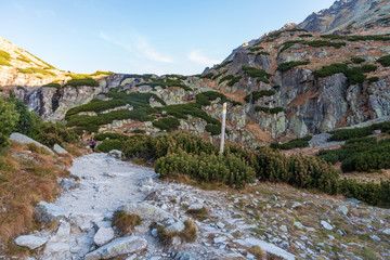 autumn morning on Mlynicka dolina valley near vodopad Skok waterfall in Slovakia © honza28683