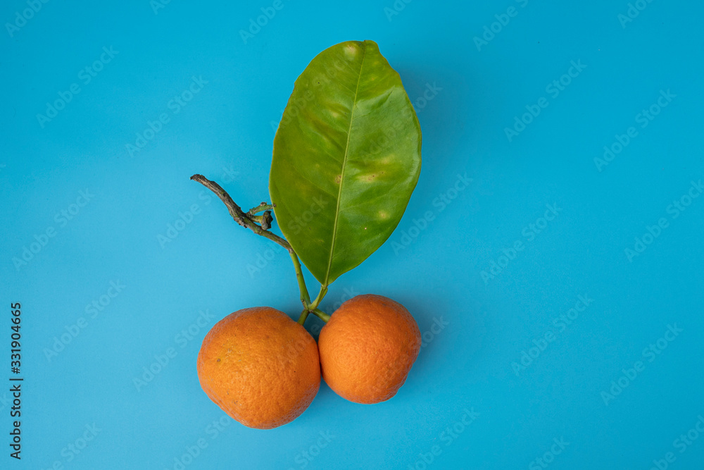 Wall mural organic oranges