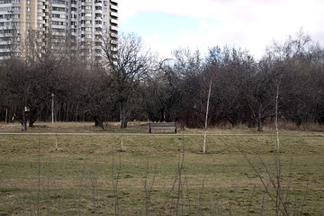 bench in a walking area on the outskirts of the city