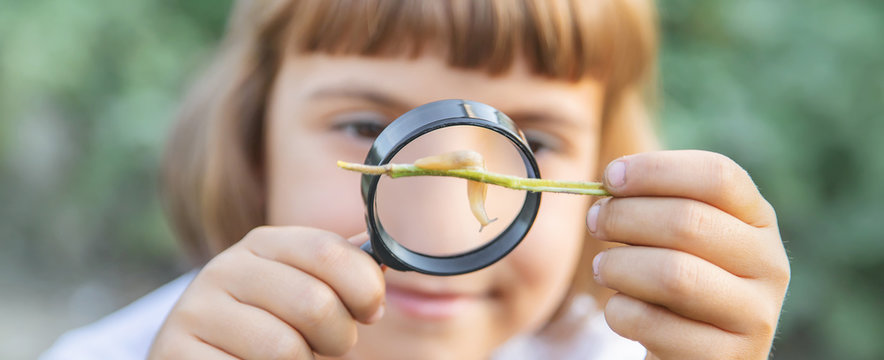 Child with a magnifying glass in his hands. Selective focus.